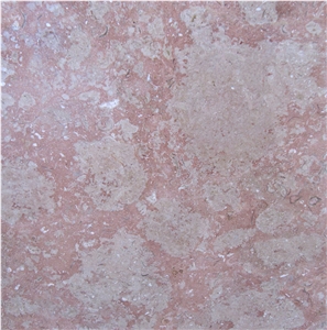Beige Rose
