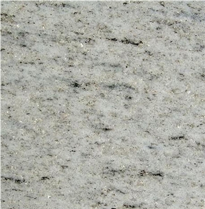 Beola Bianca Valle Gneiss Tile