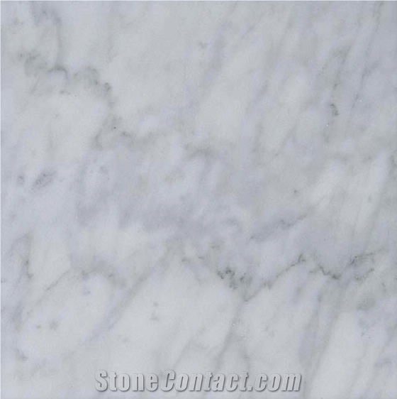 Bianco Carrara Unito D Tile