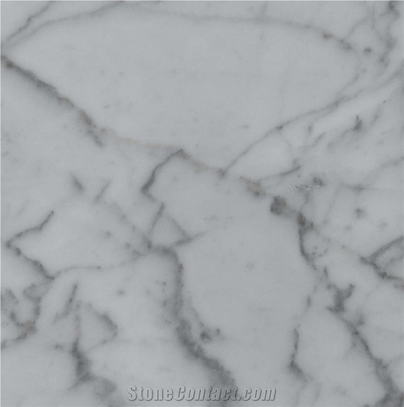 Bianco Carrara Venato C Tile