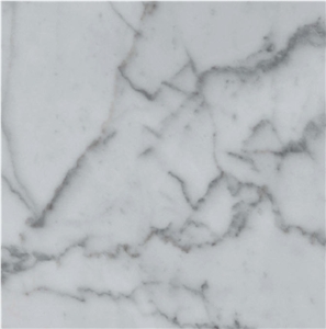 Bianco Carrara Venato D Tile