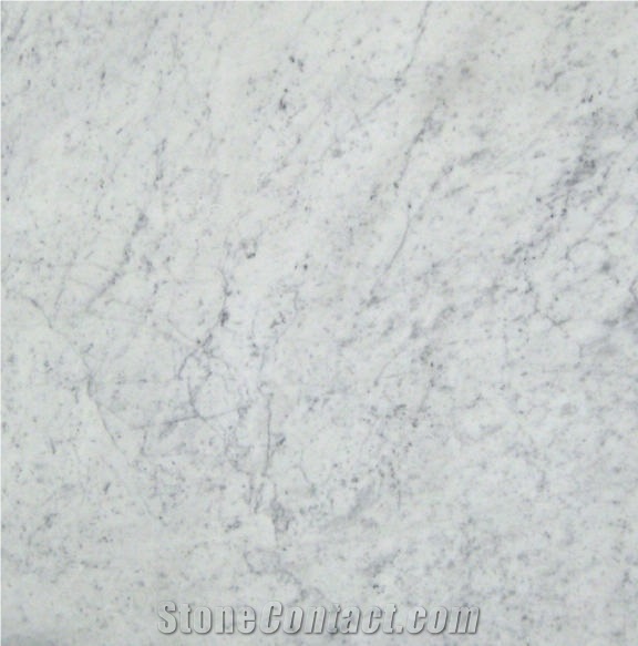 Bianco Carrara Venato D Tile