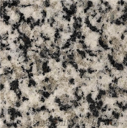 Bianco Dalmata Granite Tile