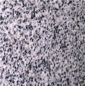 Bianco Dalmata Granite Tile