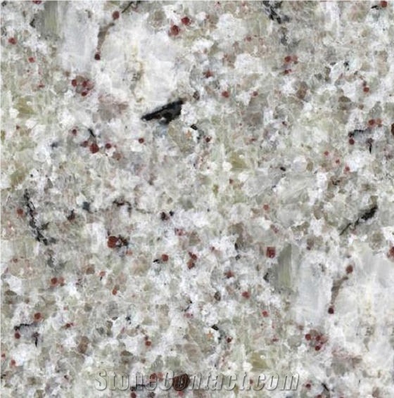 Bianco Regina Granite Tile