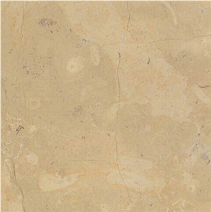 Birzeit Gold Limestone