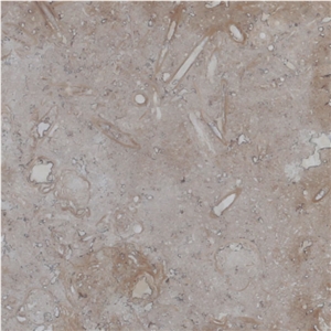 Blanco Fossil Travertine Tile