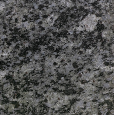Blue Plum Granite importance=