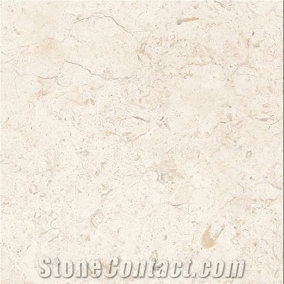 Bone White Limestone 