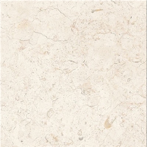 Bone White Limestone