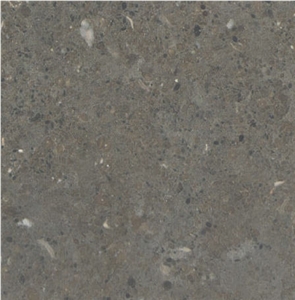 Borriol Limestone