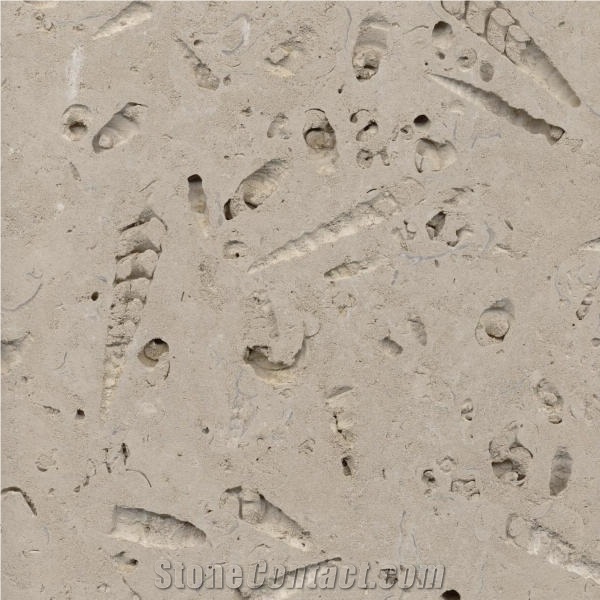 Bowers Roach Limestone 