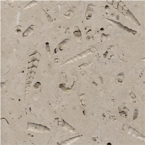 Bowers Roach Limestone