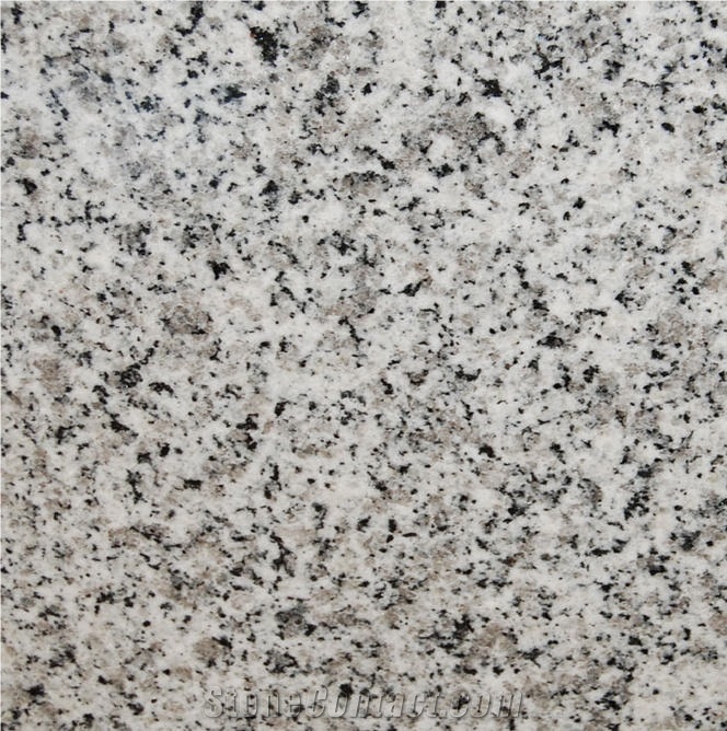 Branco Portinari Granite Tile