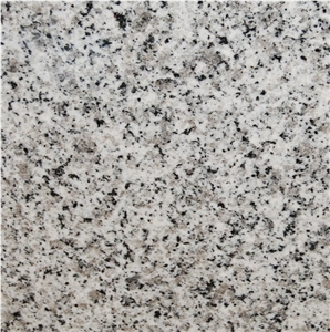 Branco Portinari Granite Tile