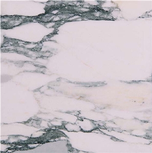 Breccia Verde Versilia
