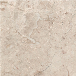 Butterfly Beige Marble