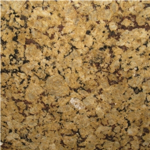 Butterfly Gold Granite
