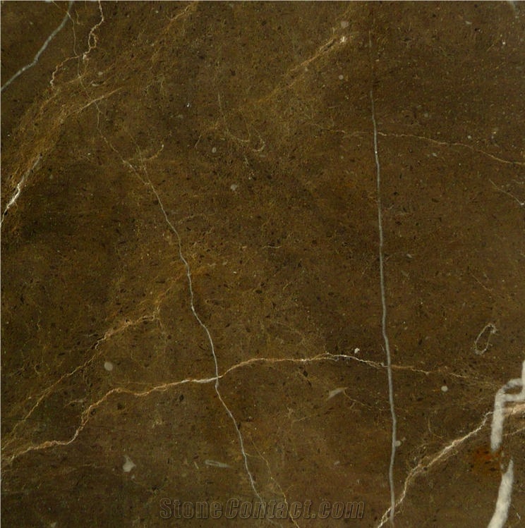 Caffe Brown Marble 