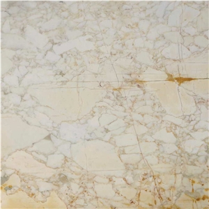 Calacatta Gherardesca Marble