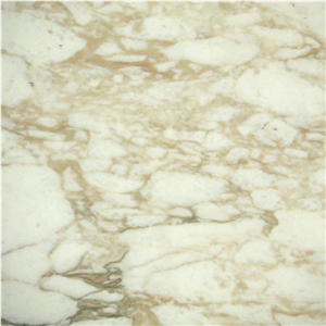 Calacatta Luna Marble Tile