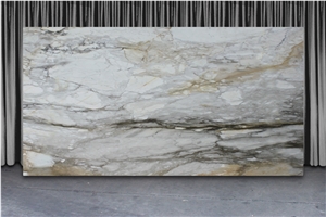 Calacatta Macchia Vecchia Marble Slab