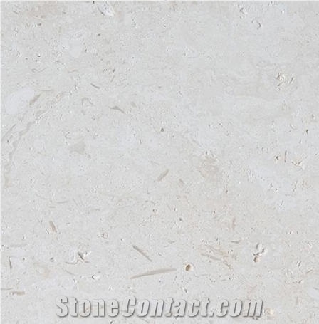 Caliza Alba Limestone Tile