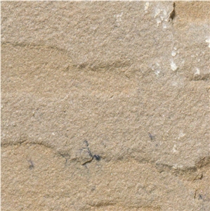 Camel Dust Sandstone Tile