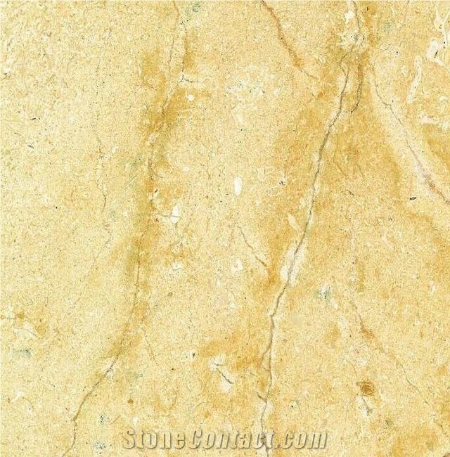 Camel Gold Limestone 