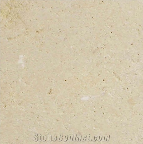 Camel Sahara White Limestone 