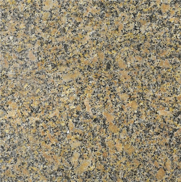 Carioca Gold Granite Tile