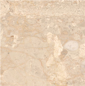 Carnis Breccia