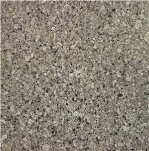 Champagne Pearl