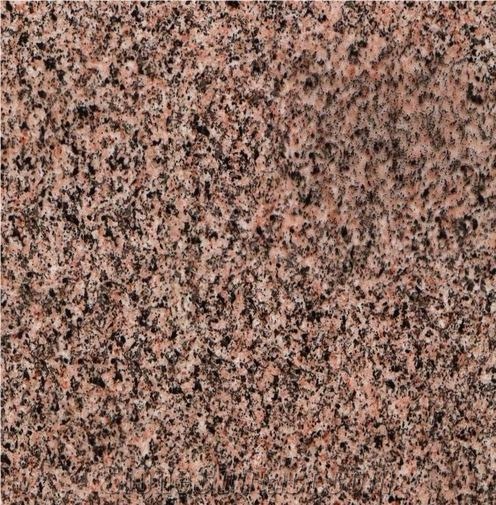 Chariot Brown importance=