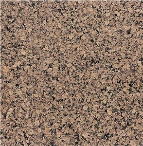 Chariot Brown Tile