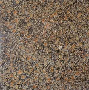 Cheetah Brown Granite