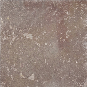 Chilton Limestone