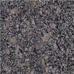 China Royal Brown Granite