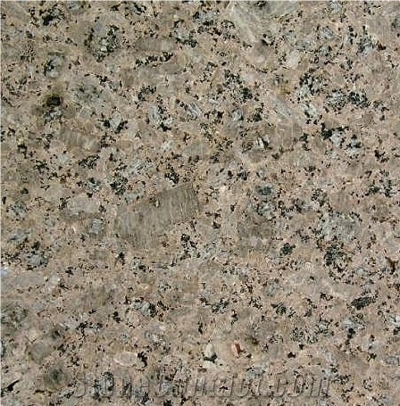 Chocolate Zanjan Granite 