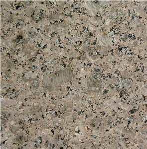 Chocolate Zanjan Granite