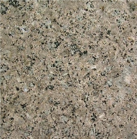Chocolate Zanjan Granite Tile