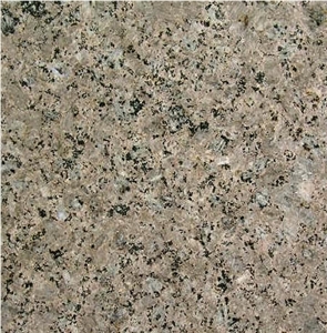 Chocolate Zanjan Granite Tile