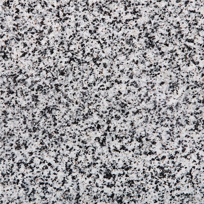 Cinza Nobre Granite 