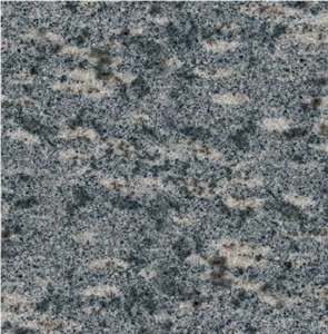 Cinza Tropical Granite
