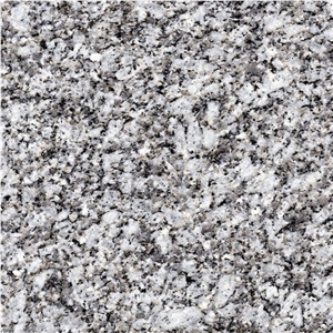 Cinzento Antas Granite