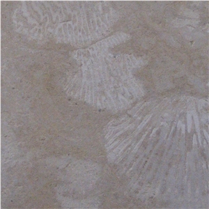 Classic Coral Stone Tile