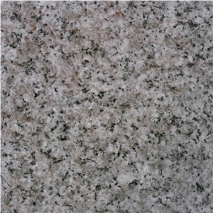 Classic Grey Fujian Granite