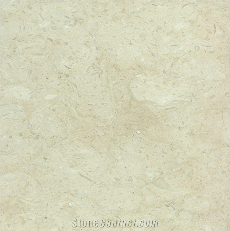 Cloudy Beige Marble 