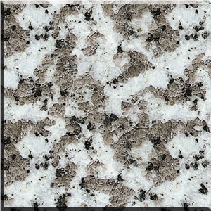 Coarse Grain White Granite