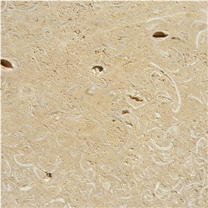 Conchuela Coral Stone